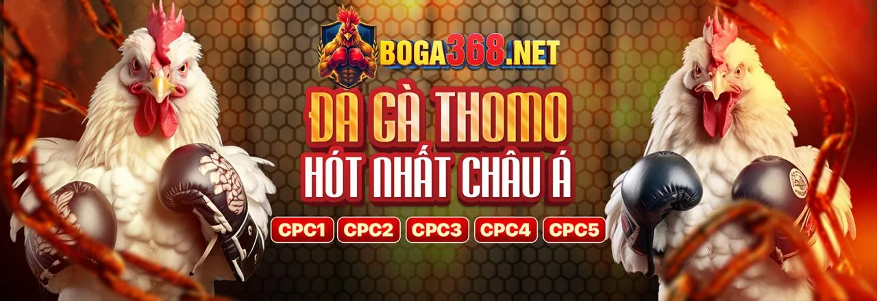 Đá Gà Trực Tuyến Đỉnh Cao tại 1888BET Trang Chủ Chính Thức